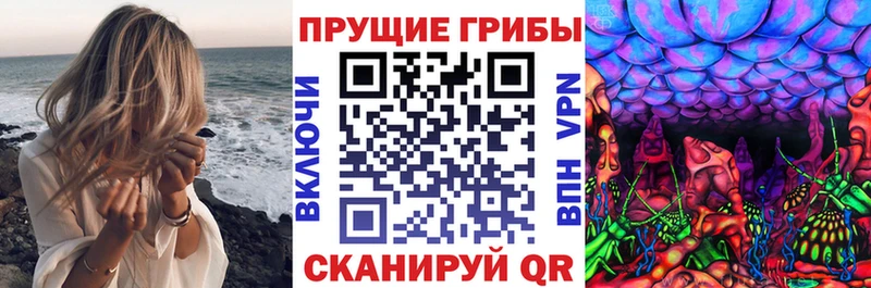 Купить  Нерехта  Псилоцибиновые грибы Psilocybe 